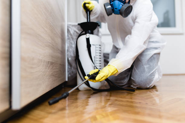 Best Pest Prevention Services  in Muldraugh, KY