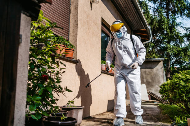 Best Exterminator Services  in Muldraugh, KY