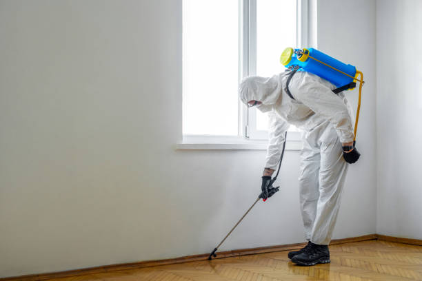 Best Best Pest Control Companies  in Muldraugh, KY